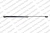 ROC GS1605 Gas Spring, boot-/cargo area